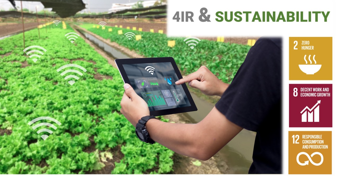Read more about the article 4IR & Sustainability Feature: AgriTech