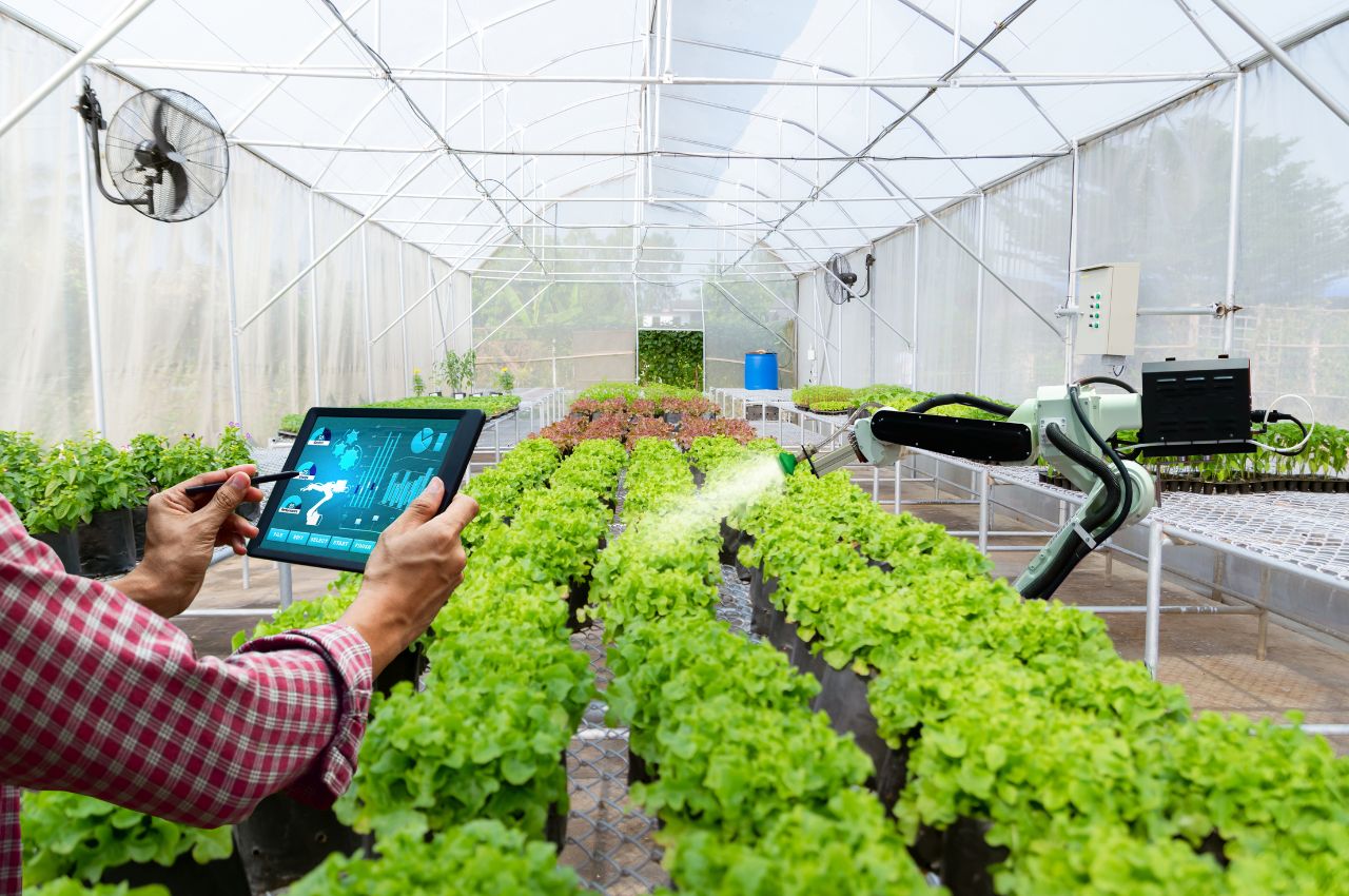 Read more about the article Emerging Technology & Sustainability Feature: AgriTech