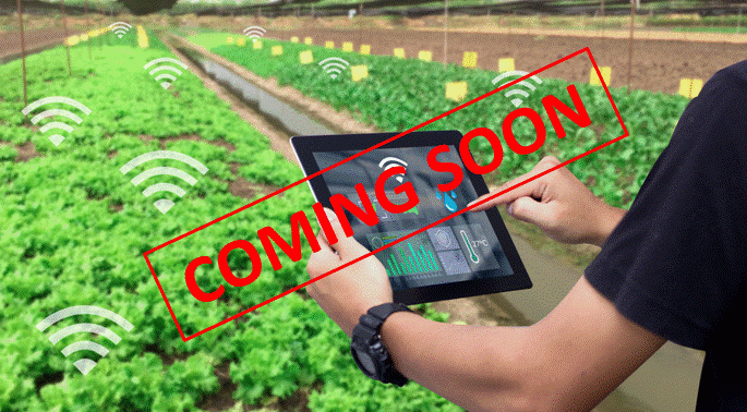 Emerging Technology & Sustainability​ (Coming Soon)